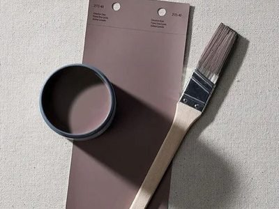 رنگ سال ۲۰۲۵ کمپانی بنجامین مور، "Cinnamon Slate" نام دارد که ترکیبی ظریف از رنگ‌های آلویی و قهوه‌ای مخملی است. این رنگ به عنوان یک رنگ آرام و لوکس معرفی شده و به خوبی حس تعادل و آرامش را در فضا ایجاد می‌کند.